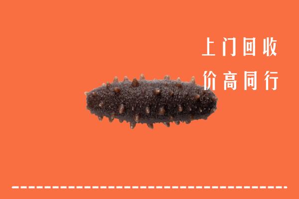吴忠回收海参